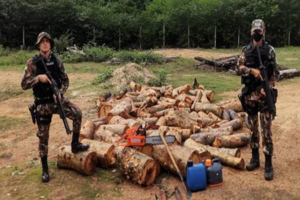 Homens são presos em flagrante por desmatamento ilegal no Sul do Piauí(Imagem:Divulgação)