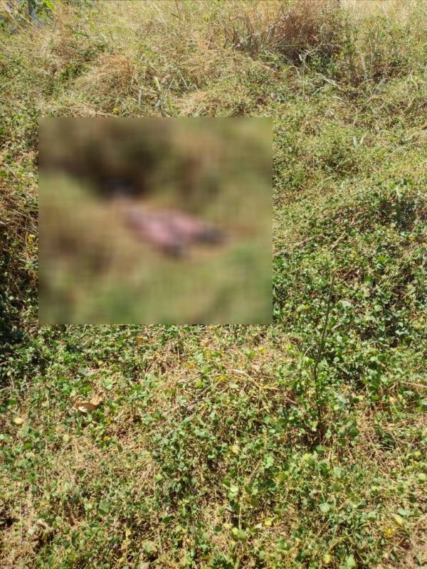 Corpo de homem desaparecido é encontrado em matagal em Timon(Imagem:Divulgação)