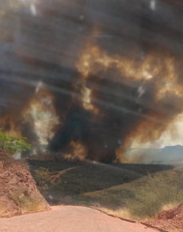 Incêndio de grande proporção atinge área de vegetação em Palmeira do Piauí(Imagem:Reprodução)