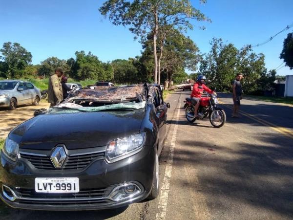 Teto de carro amassou durante colisão com árvore.(Imagem:Marcos Teixeira/TV Clube)