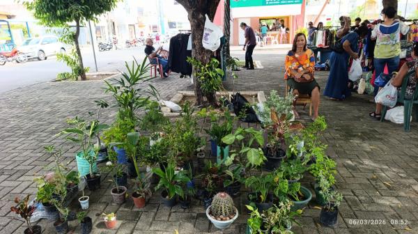 FLORIARTE movimenta Pra&ccedil;a Dr. Sebasti&atilde;o Martins e valoriza cultura e produ&ccedil;&atilde;o local em Floriano(Imagem:FlorianoNews)