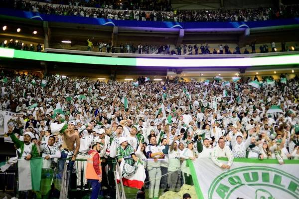  Torcida do Palmeiras em jogo contra o Atlético-MG.(Imagem:Marcos Ribolli )