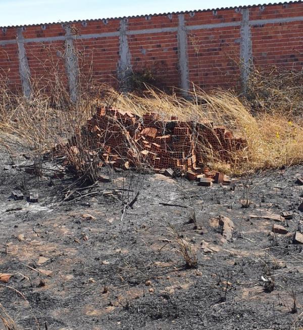Dono de estabelecimento comercial alegou que ateou fogo devido à vegetação do local.(Imagem:Divulgação /PC-PI)