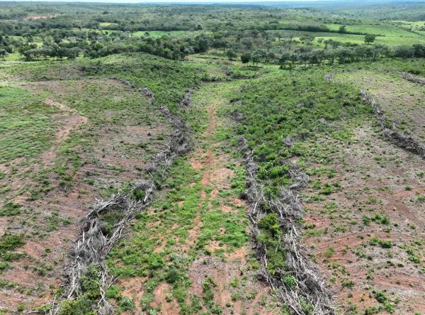 Opera&ccedil;&atilde;o Caatinga Resiste(Imagem:Ascom Semarh)