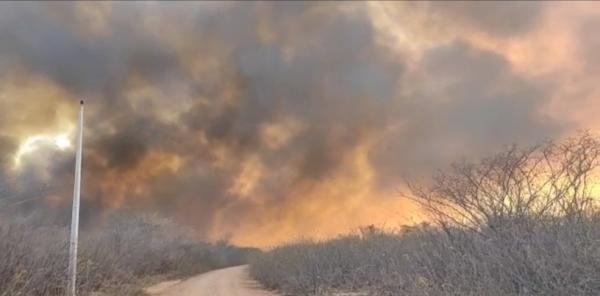 Incêndio atinge zona rural de São Raimundo Nonato e ameaça Parque Nacional da Serra da Capivara(Imagem:Divulgação)