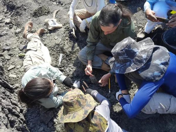 Professor e estudantes de arqueologia encontram fóssil de preguiça-gigante no Sul do PI.(Imagem:Divulgação)