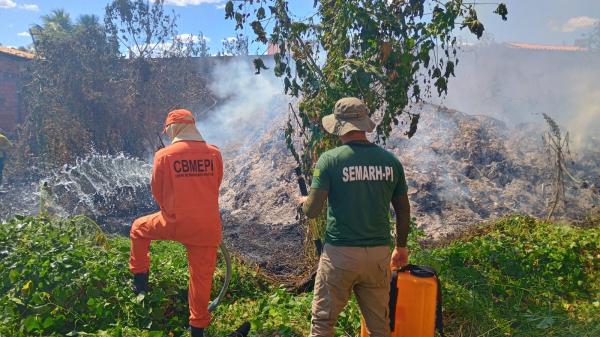 Piauí amplia proteção ambiental com novos brigadistas;maior formatura da história será na sexta (25)(Imagem:Divulgação/Governo do Piauí)