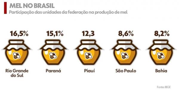  Maiores produtores de mel no país.(Imagem:g1 Piauí )