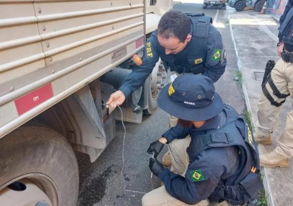 PRF autua 13 caminhoneiros por crime ambiental durante operação contra poluição no Piauí.(Imagem:Divulgação /PRF-PI)