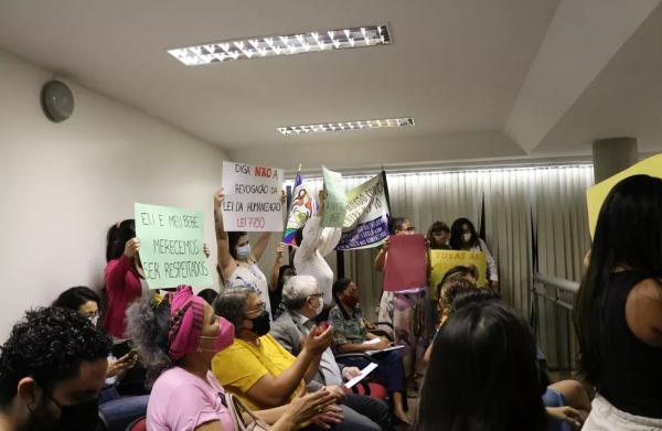 Gestantes e profissionais da saúde protestam na Alepi e pedem que lei do parto humanizado não seja revogada no Piauí.(Imagem: Ilanna Serena/g1 )