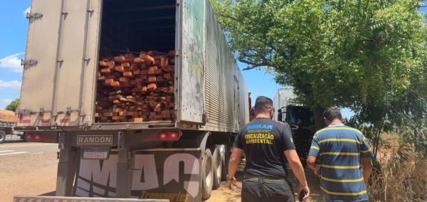 Só em 2025, já são 424 metros cúbicos apreendidos, o que representa mais de três vezes o total registrado em todo o ano ano passado.(Imagem:Ascom Semarh)