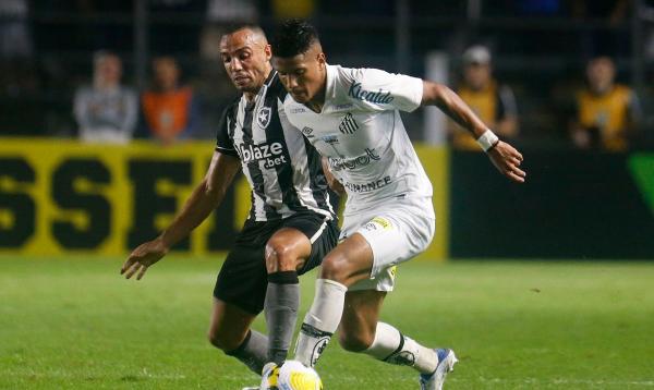 De olho em vaga na Libertadores, Botafogo recebe o Santos.(Imagem:Vitor Silva/Botafogo/Direitos Reservados)
