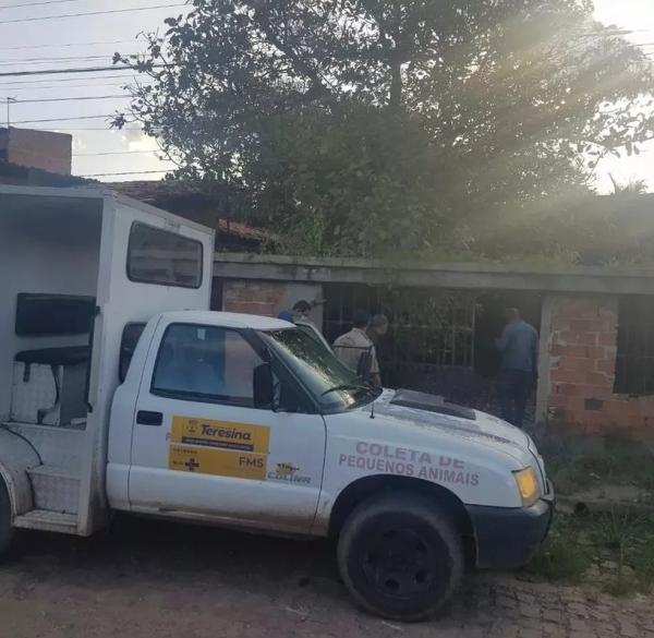 O tutor abandonou os cães na residência após se separar da companheira. De acordo com o delegado, ele foi morar no bairro Promorar, Zona Sul de Teresina, e às vezes ia deixar comid(Imagem:Reprodução)