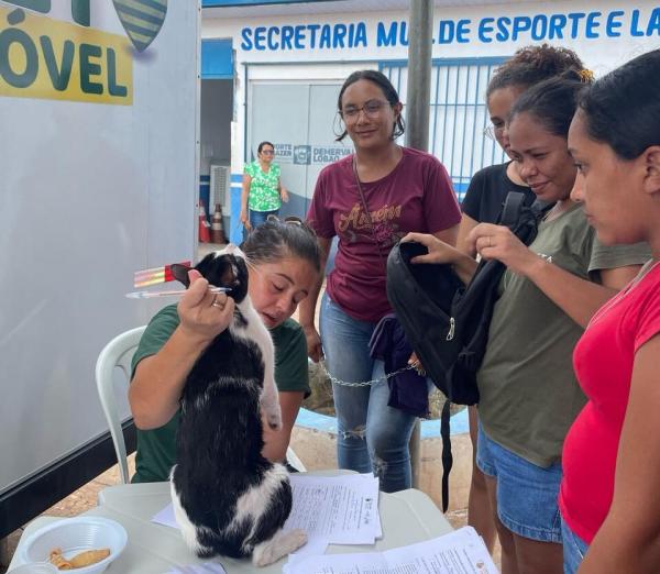 Castram&oacute;vel(Imagem:Ascom Semarh)