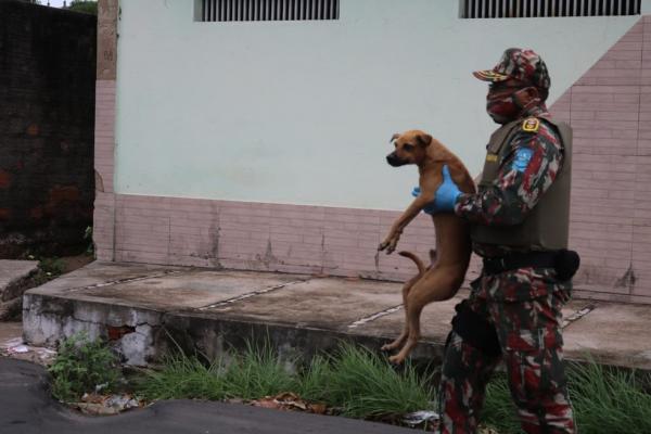 Mais de 10 cães foram resgatados pela polícia.(Imagem:Naftaly Nascimento/G1)