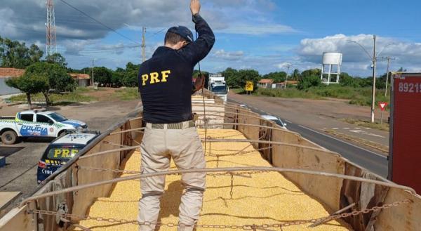 A droga estava escondida dentro da carga de milho a granel em um caminhão bitrem(Imagem:Divulgação/PRF)
