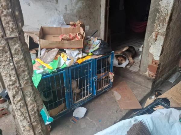 Cinco falsos veterinários são presos em Teresina.(Imagem:PCPI)