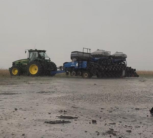 Excesso de chuva  atrasa  colheita da soja no sul do Piau&iacute; e preocupa produtores(Imagem:Divulga&ccedil;&atilde;o)