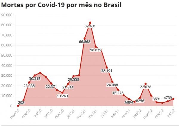 Mortes por Covid-19 por m&ecirc;s no Brasil.(Imagem:G1)