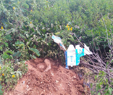Preso suspeito de ocultar cadáver de auxiliar de serviços gerais