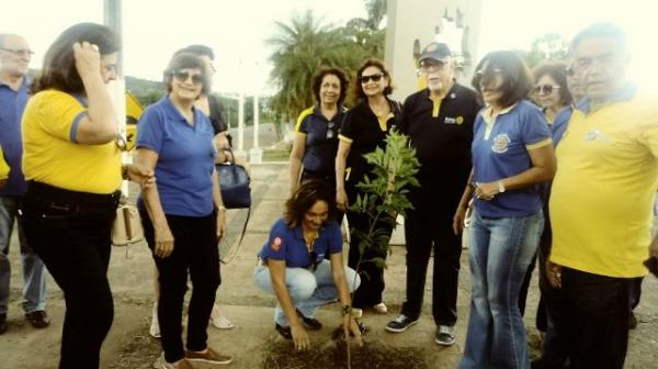 Governador Distrital participa de plantio de mudas de &aacute;rvore em visita a Floriano.(Imagem:FlorianoNews)