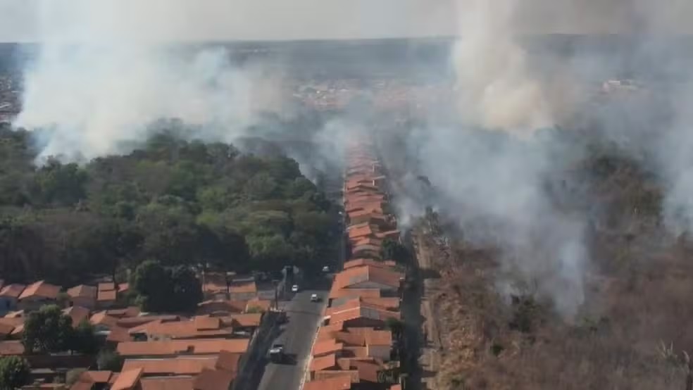 Com focos ainda ativos, incêndio na Embrapa em Teresina pode ter consumido até 50 hectares, diz chefe-geral
