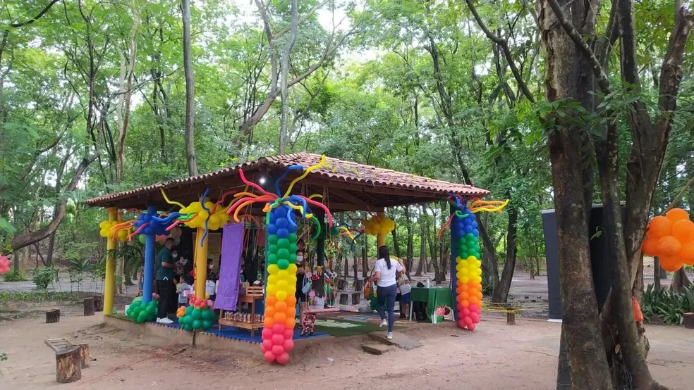 Dia das Crianças em Teresina: shows gratuitos e atividades em parques; veja o que fazer a partir de sábado (10)
