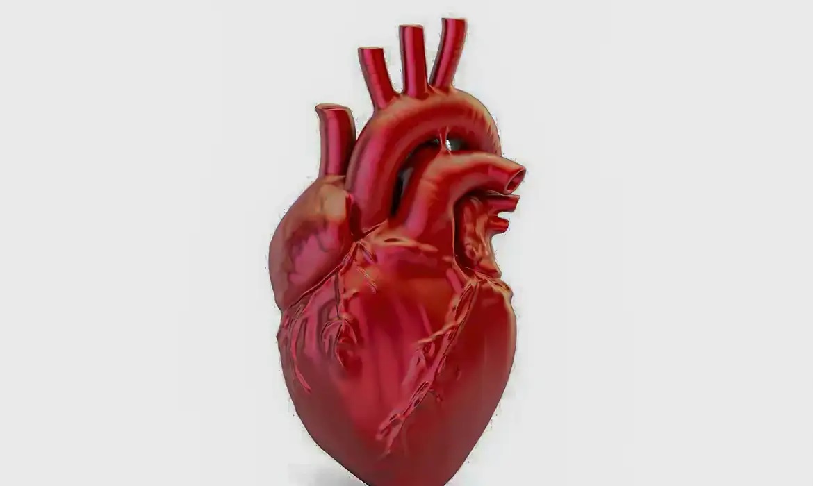 A cada 72 segundos, uma pessoa morre por doença cardiovascular no país
